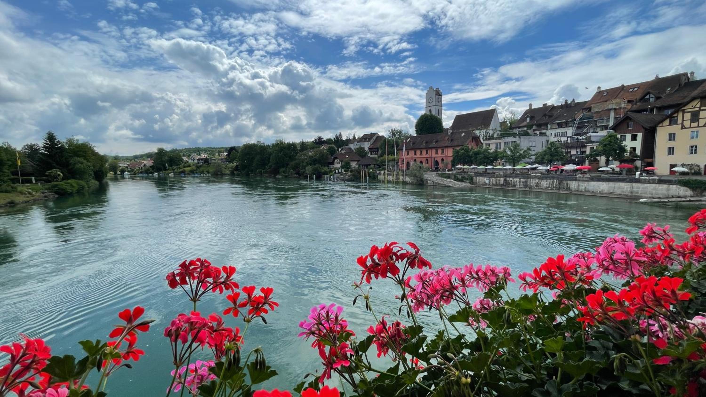 a knight's splendid apartment