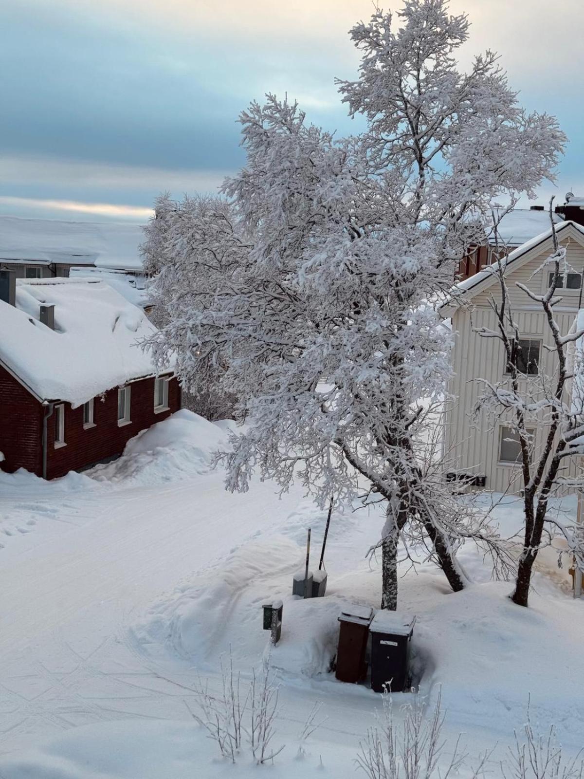 Villa i Kiruna view 3