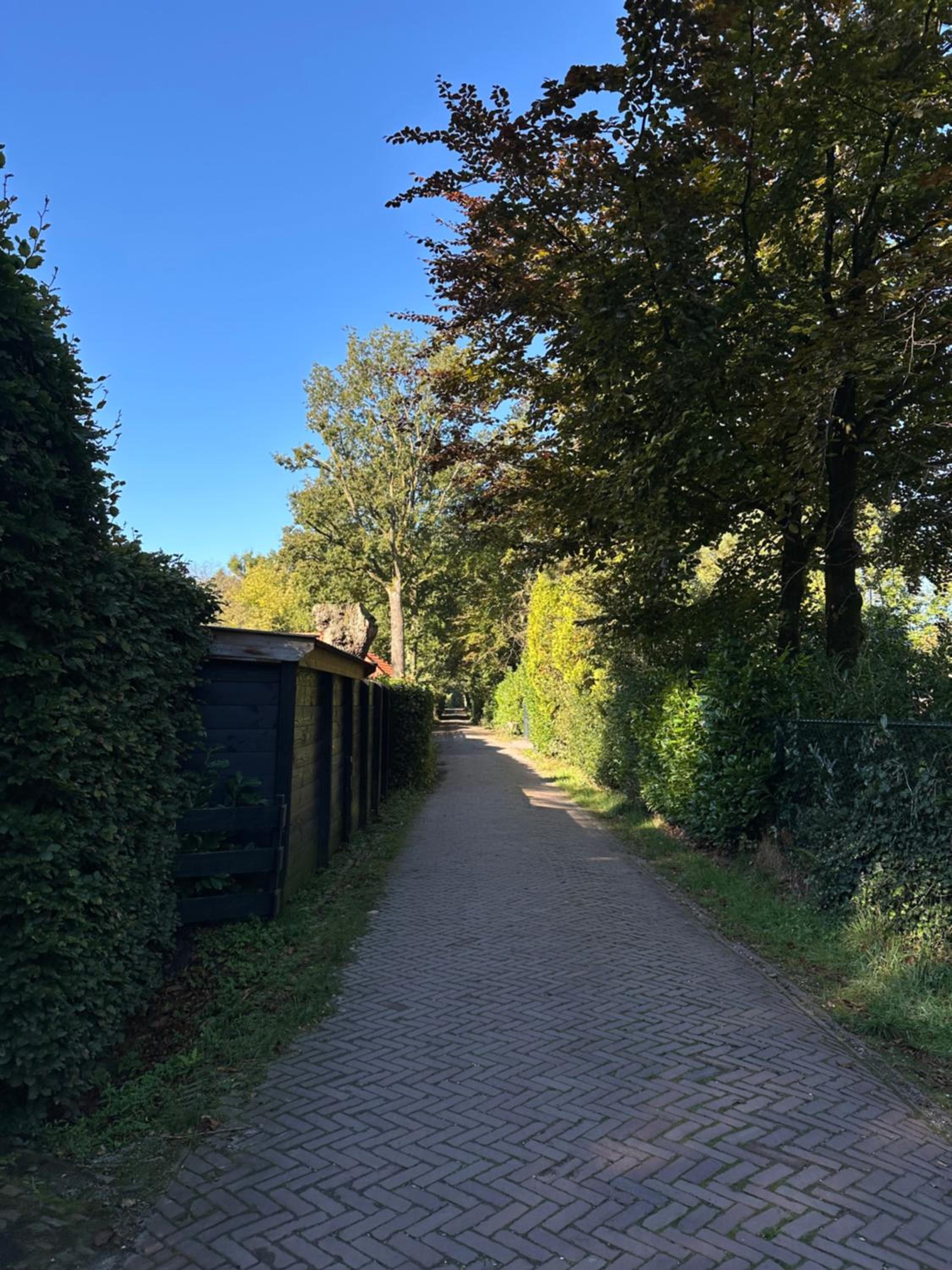 Veluws vakantiehuisje Kawoeper Lodge