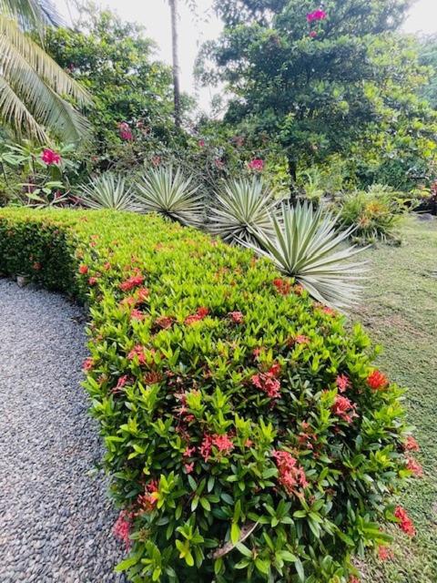 Tortuga Premium Riverfront Jungle Villa with Jacuzzi and Pool
