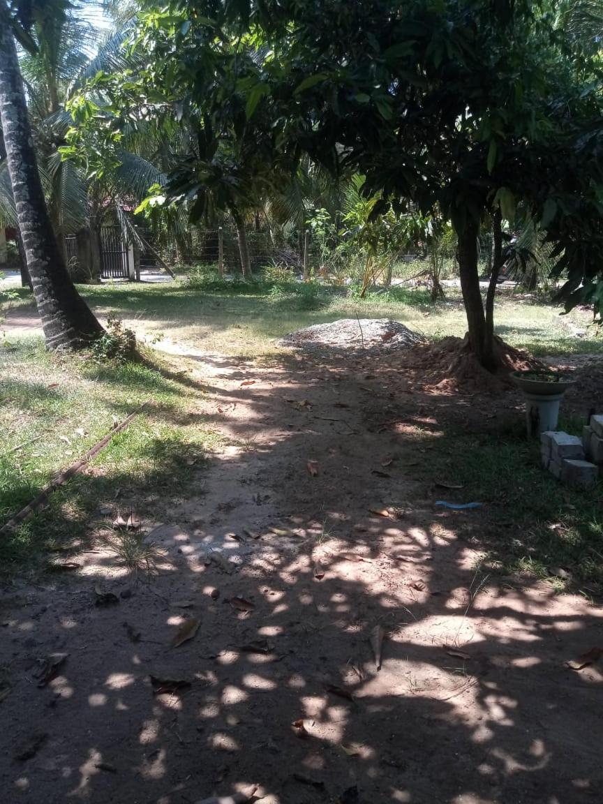 Photo 28