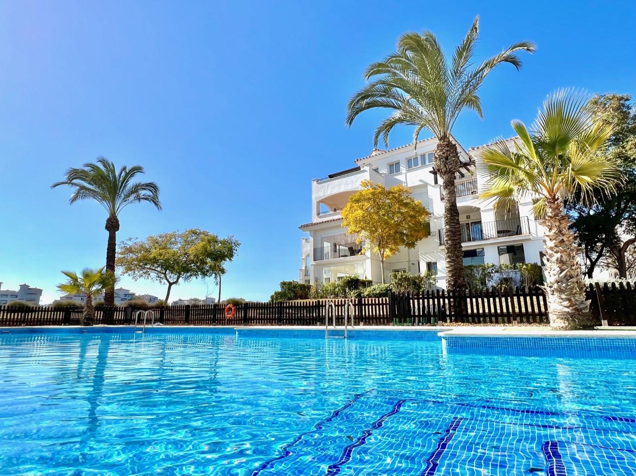 Stunning sunlight apartment with a pool view