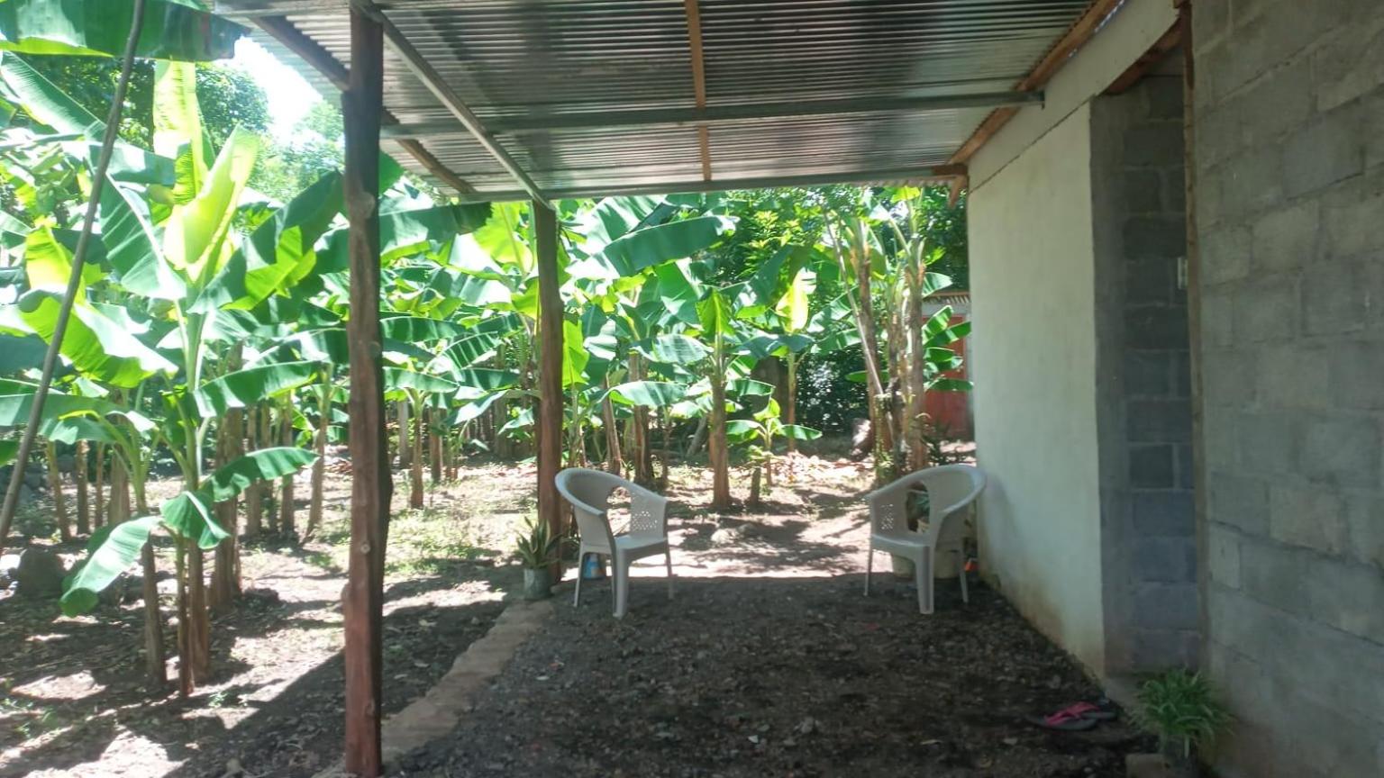 Habitaciones Colibrí view 4
