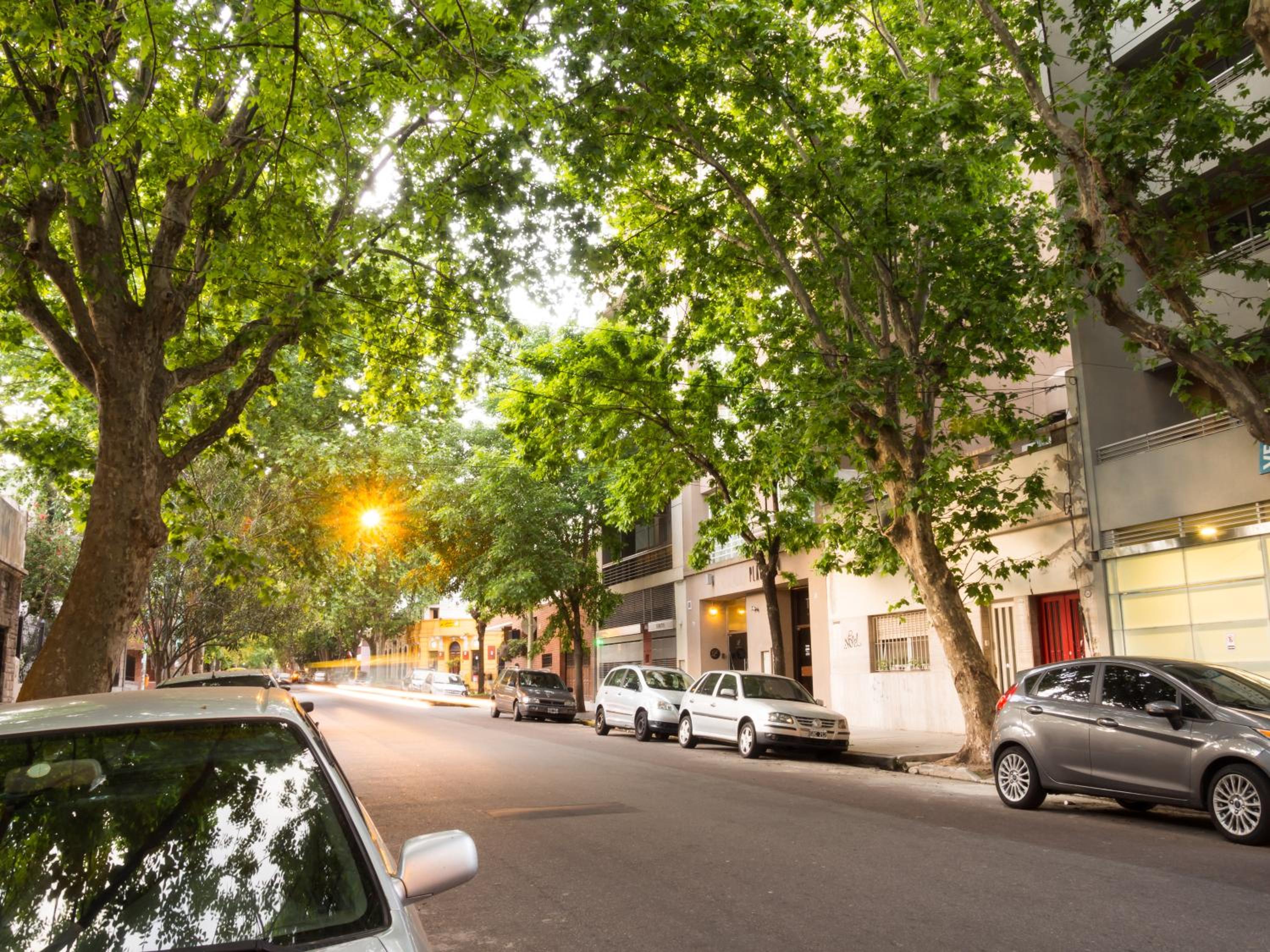 Luxury Palermo Hollywood Condo at Buenos Aires' Best Neighborhood