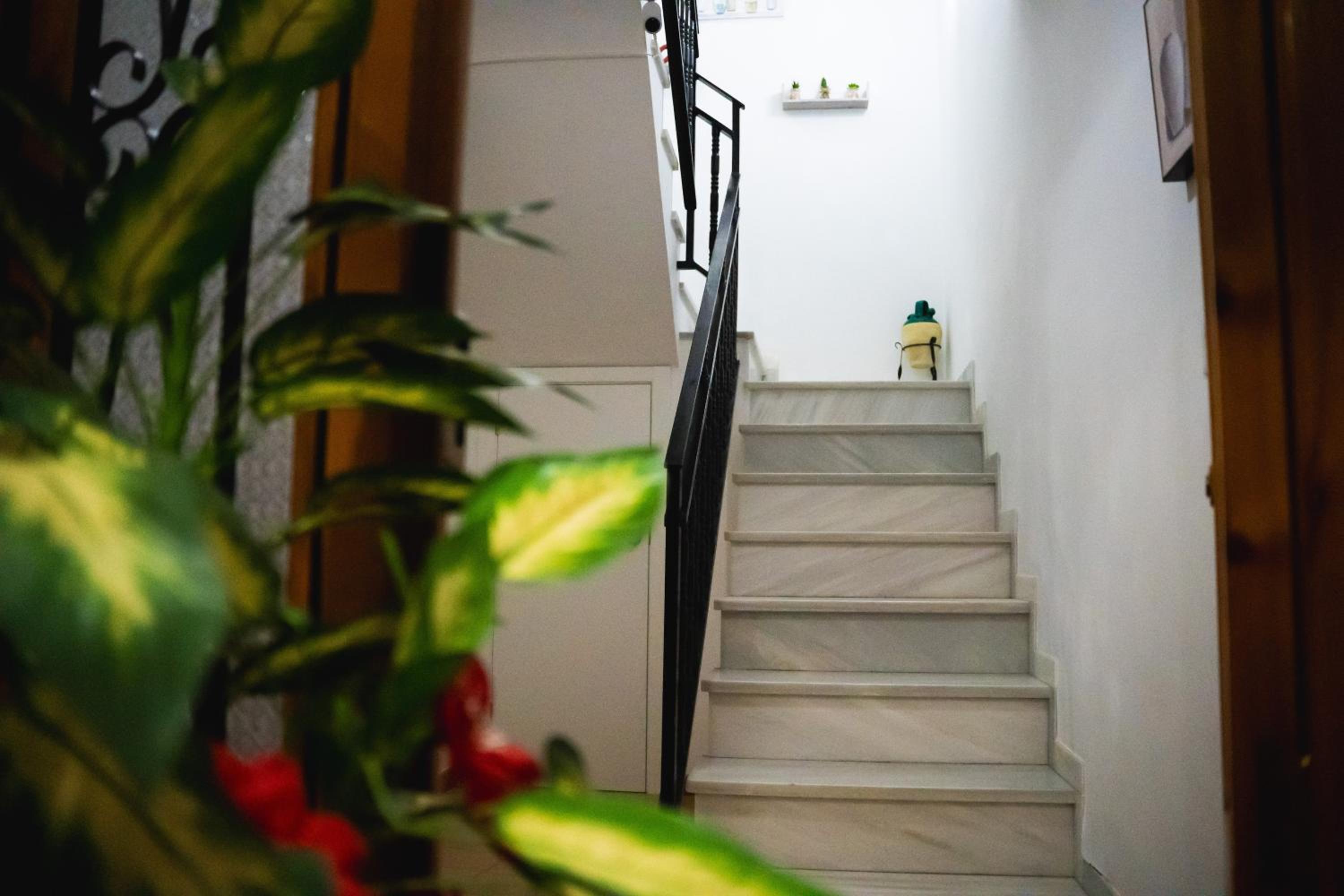 Casa Arcadia Centro de Andalucía