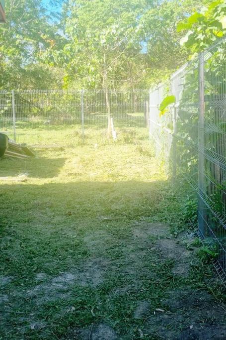 Cabinas Guacamaya