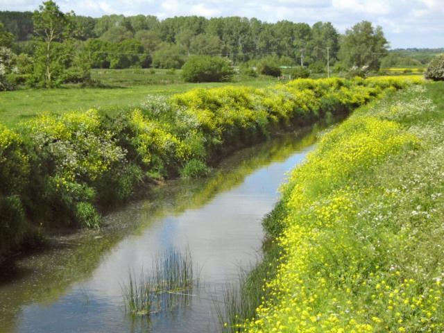 The Fisher King Centre view 4