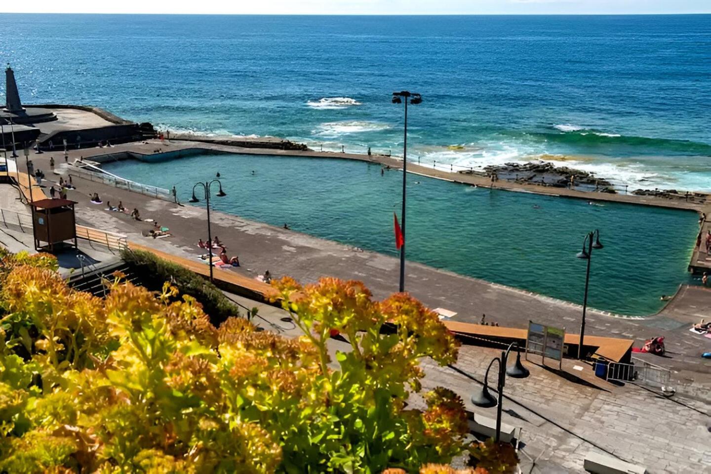 Las Palmeras