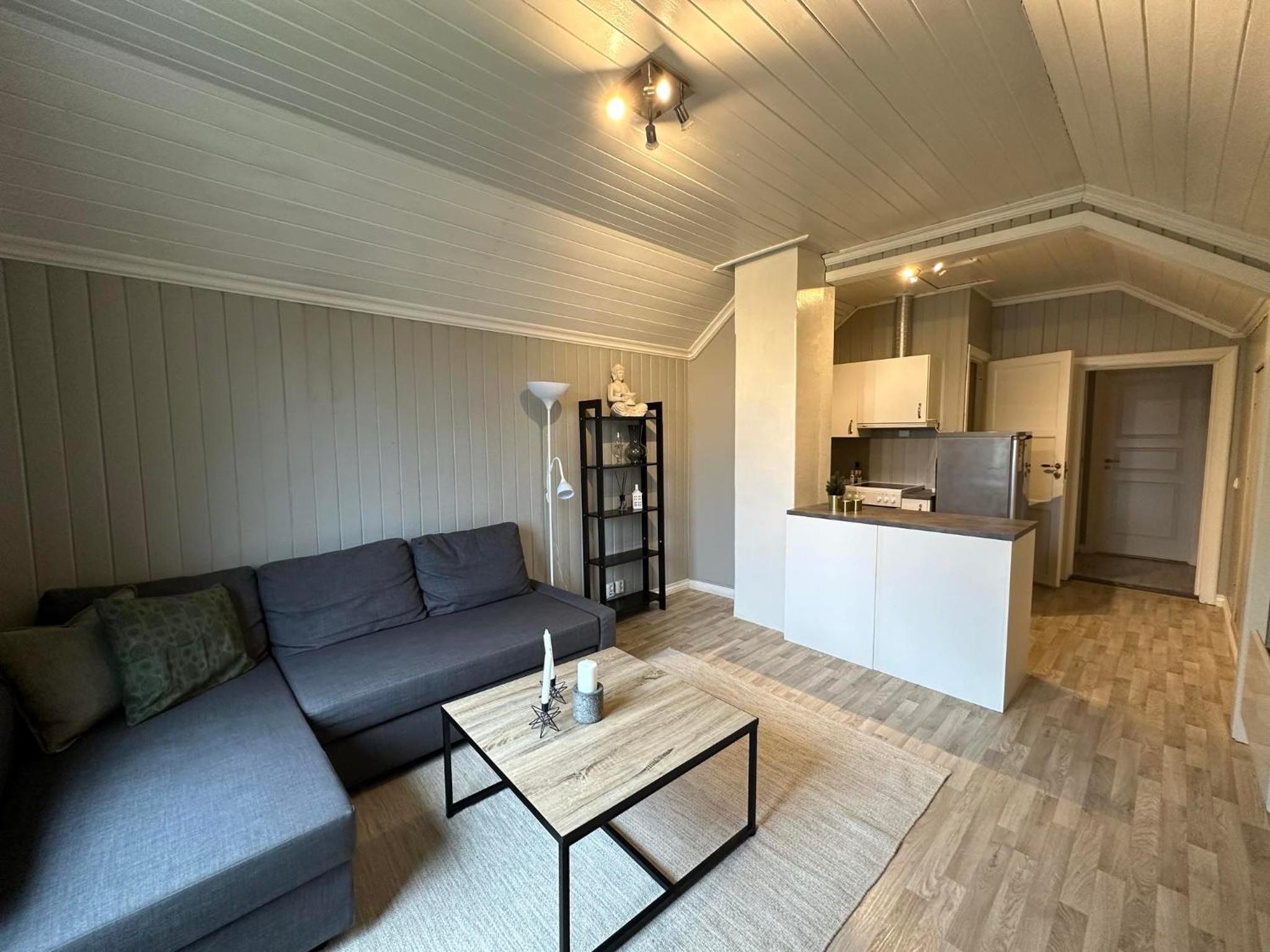 Central Apartment