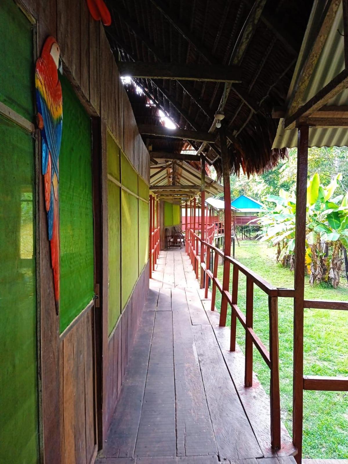 Jacamar Lodge Expeditions