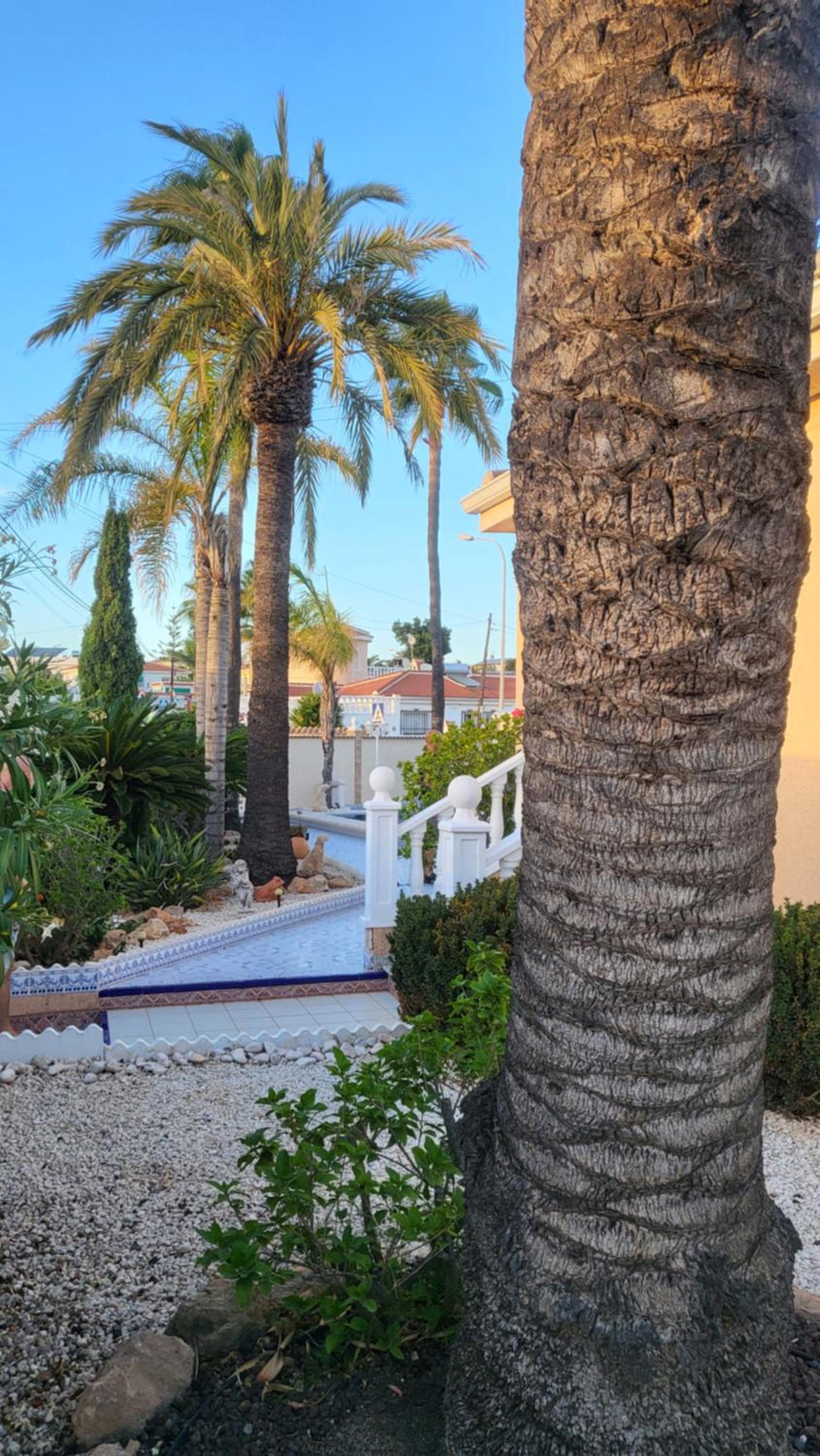 Casa Valdi, fantastic 4 bedroom house with private,heated swimming pool and barbecue view 5