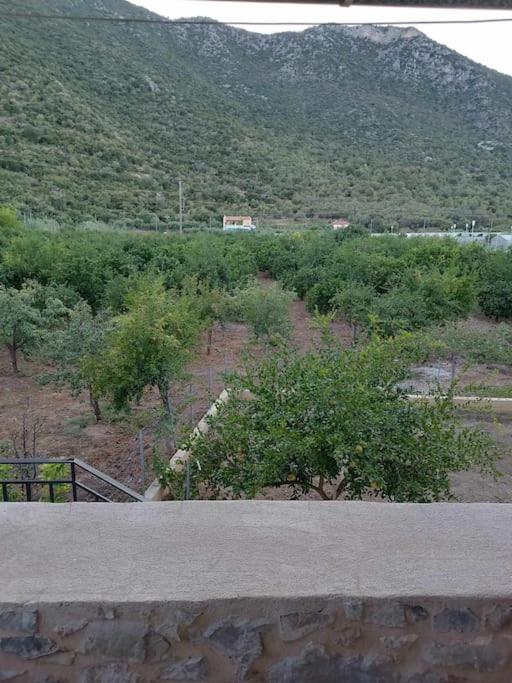 Seaview Maisonette Paradise