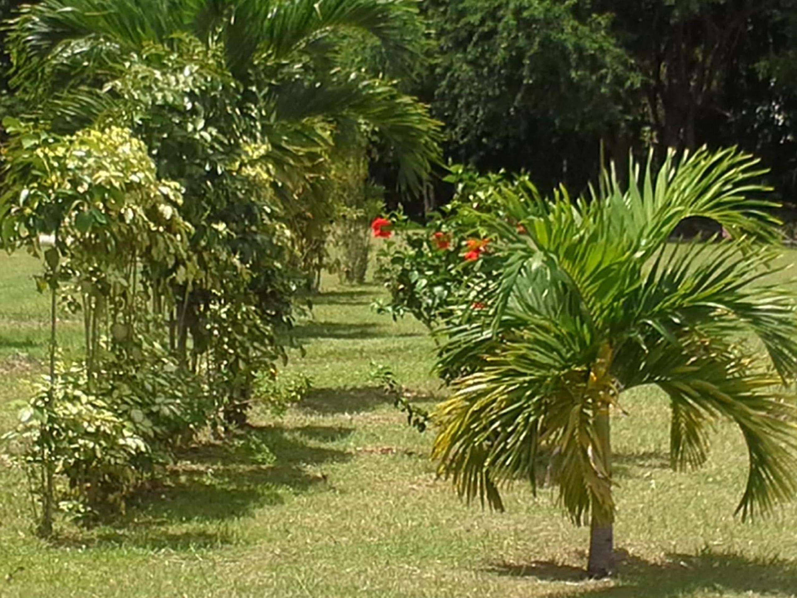 La ROSE ISLAND view 4