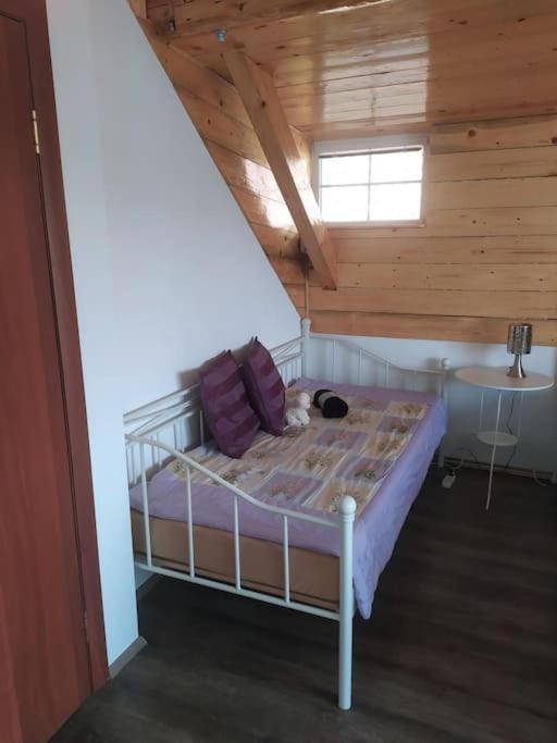 UPA apartments - U Papeze apartments