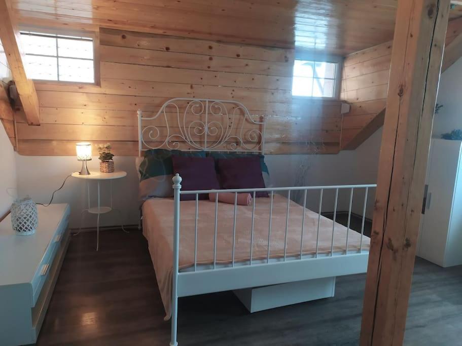 UPA apartments - U Papeze apartments
