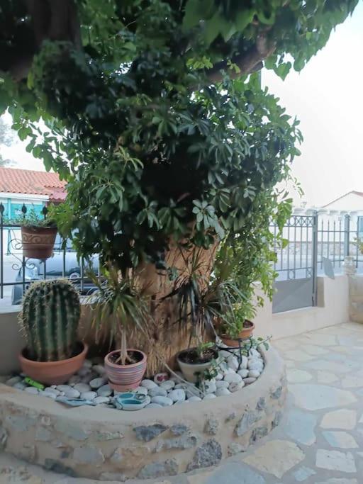 Seaview Maisonette Paradise