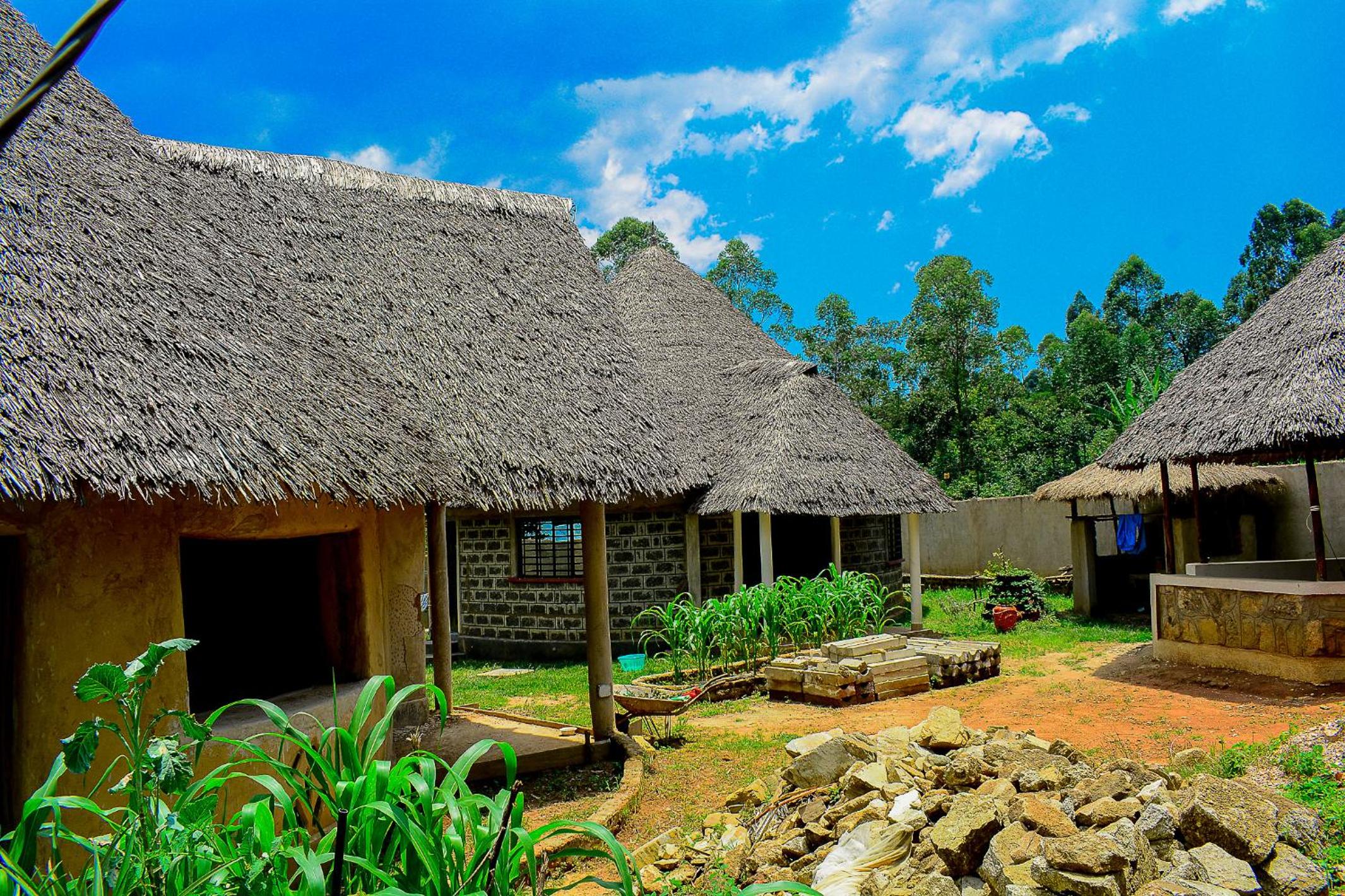 Tropical lodge