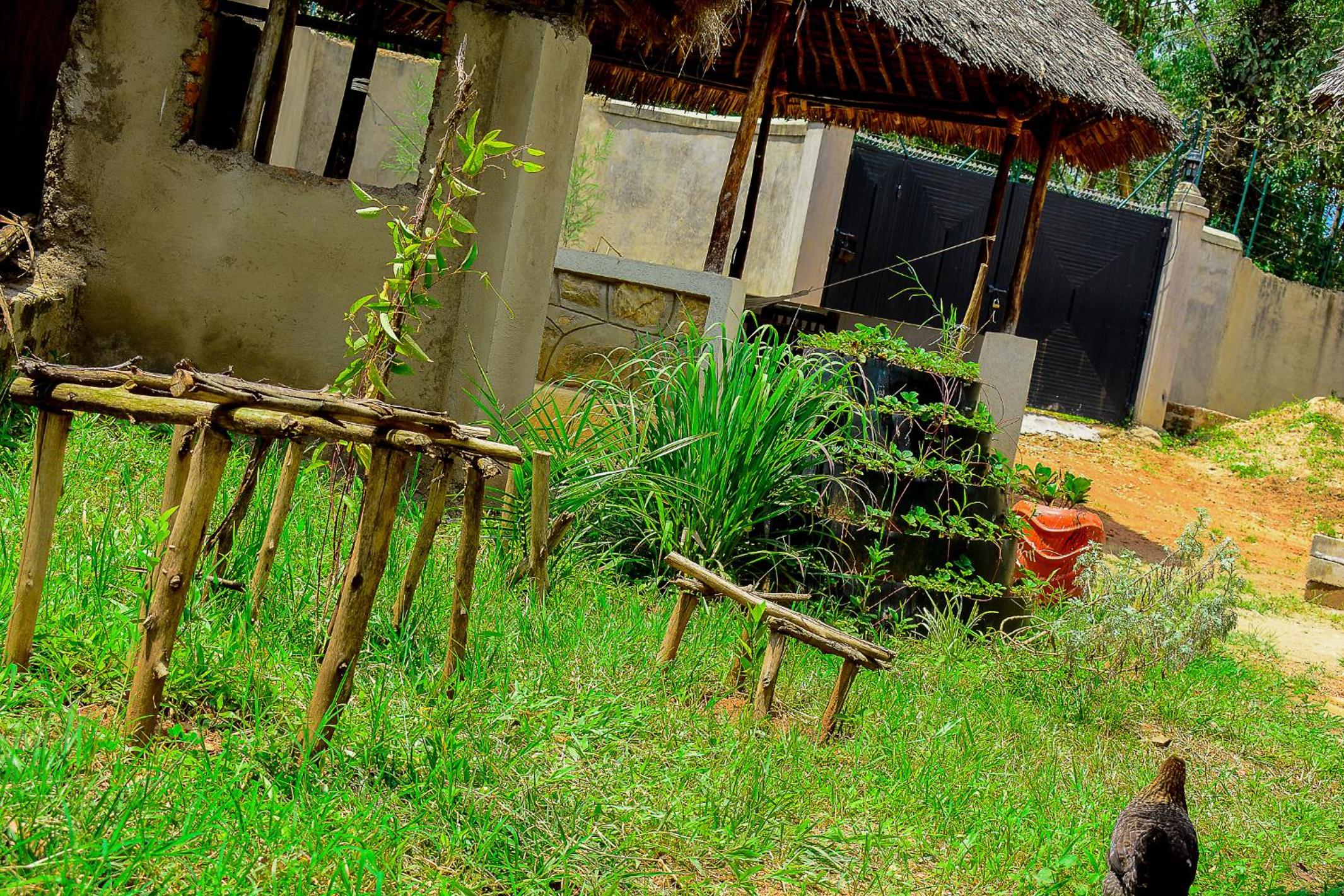 Tropical lodge