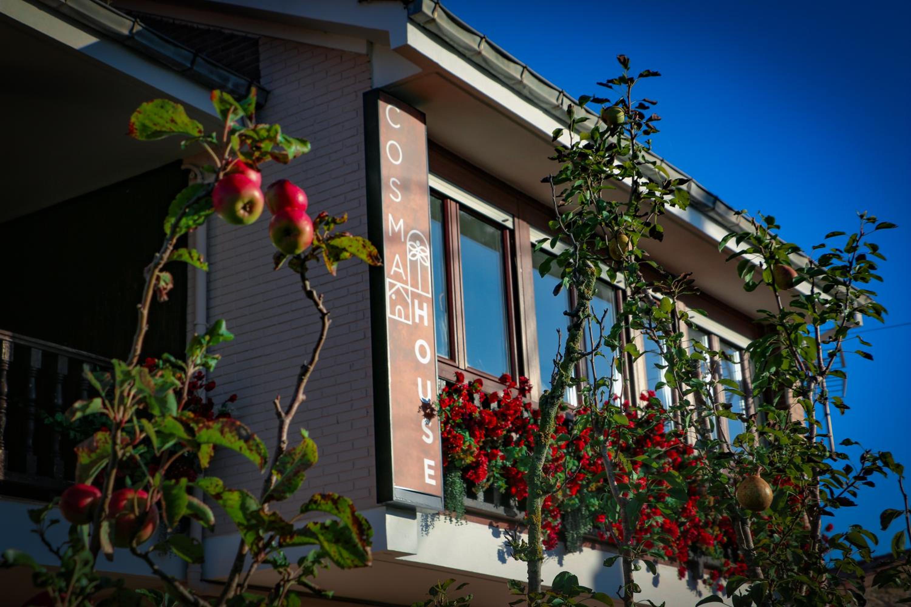 COSMA HOUSE