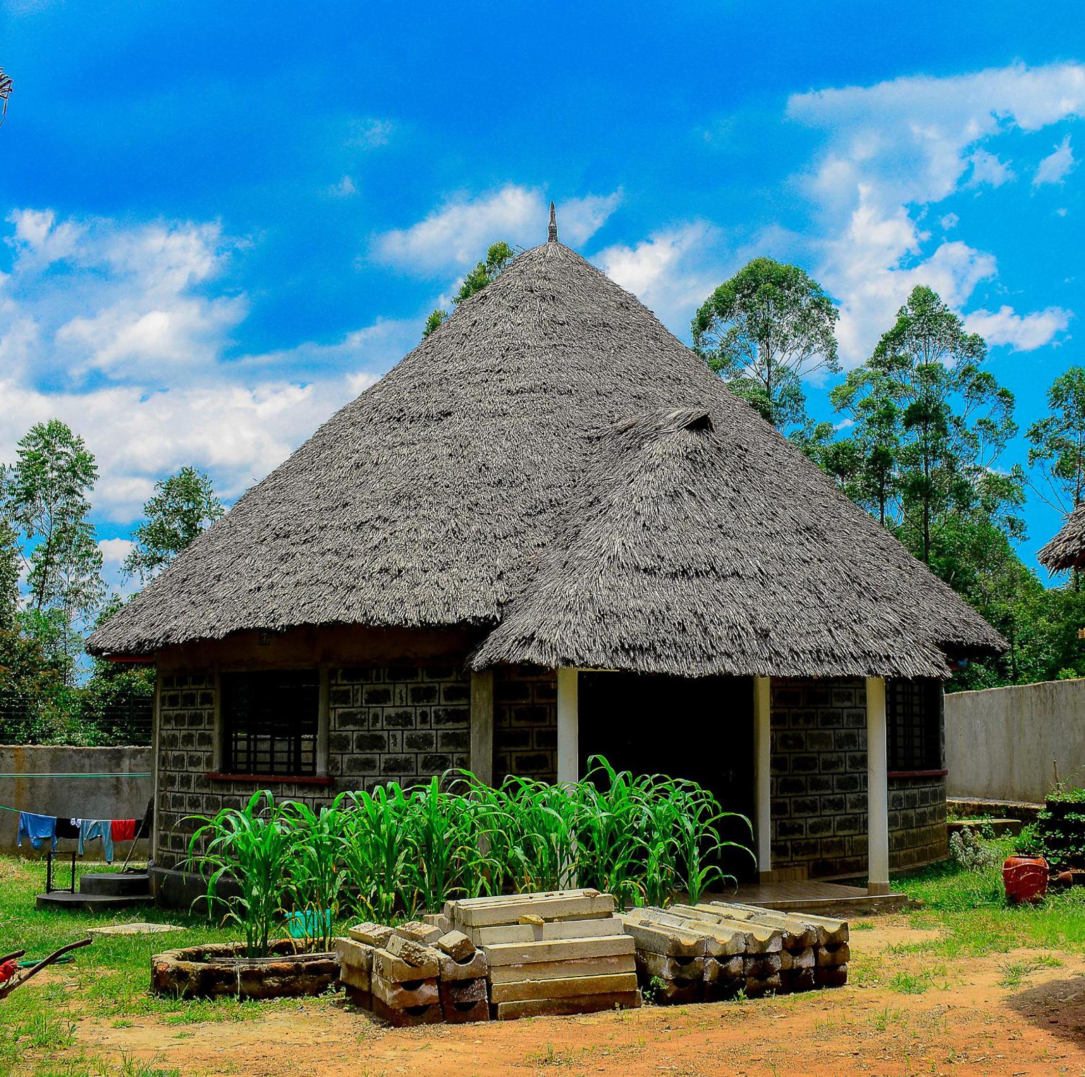 Tropical lodge