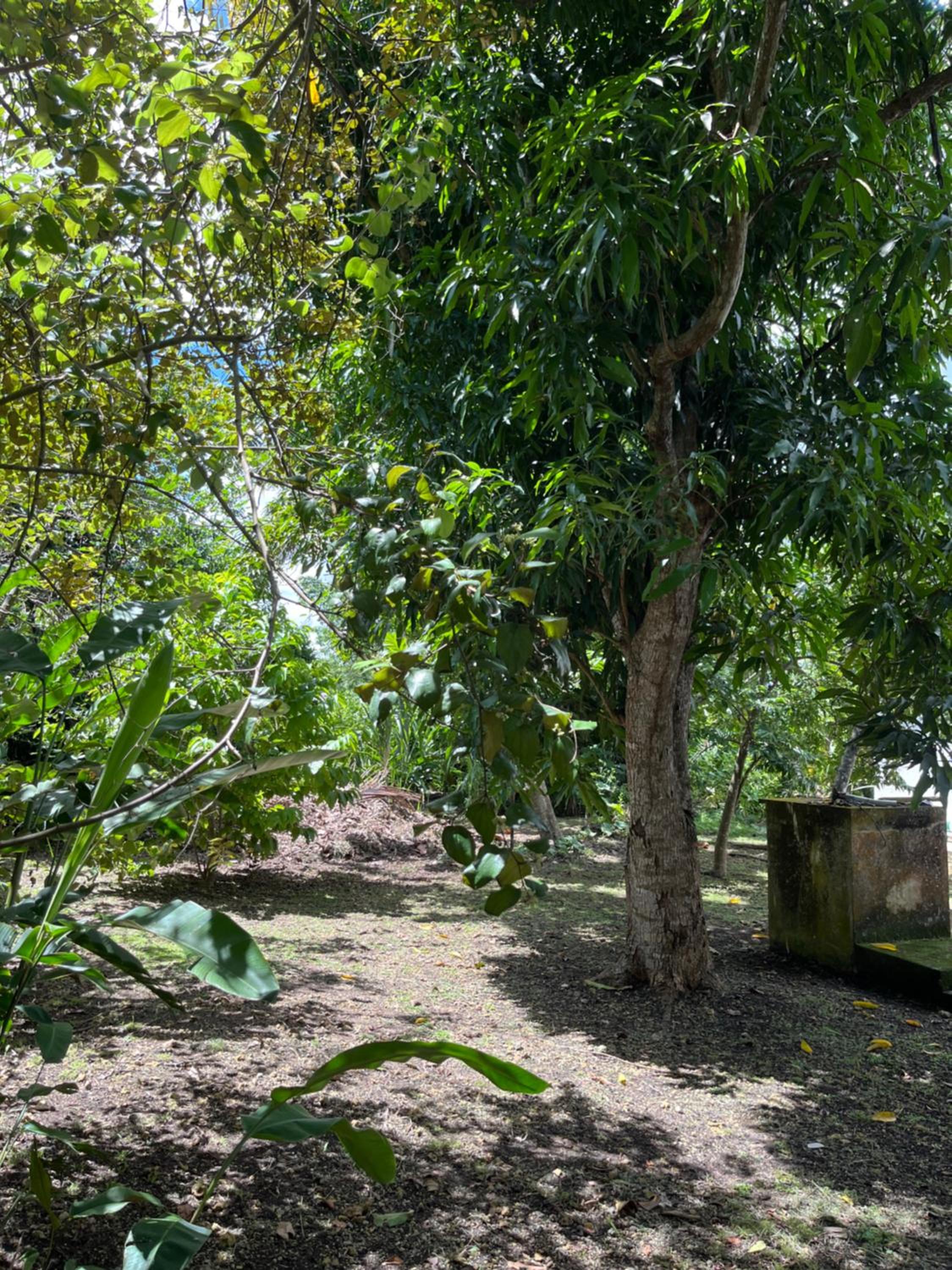 Villa campagne créole