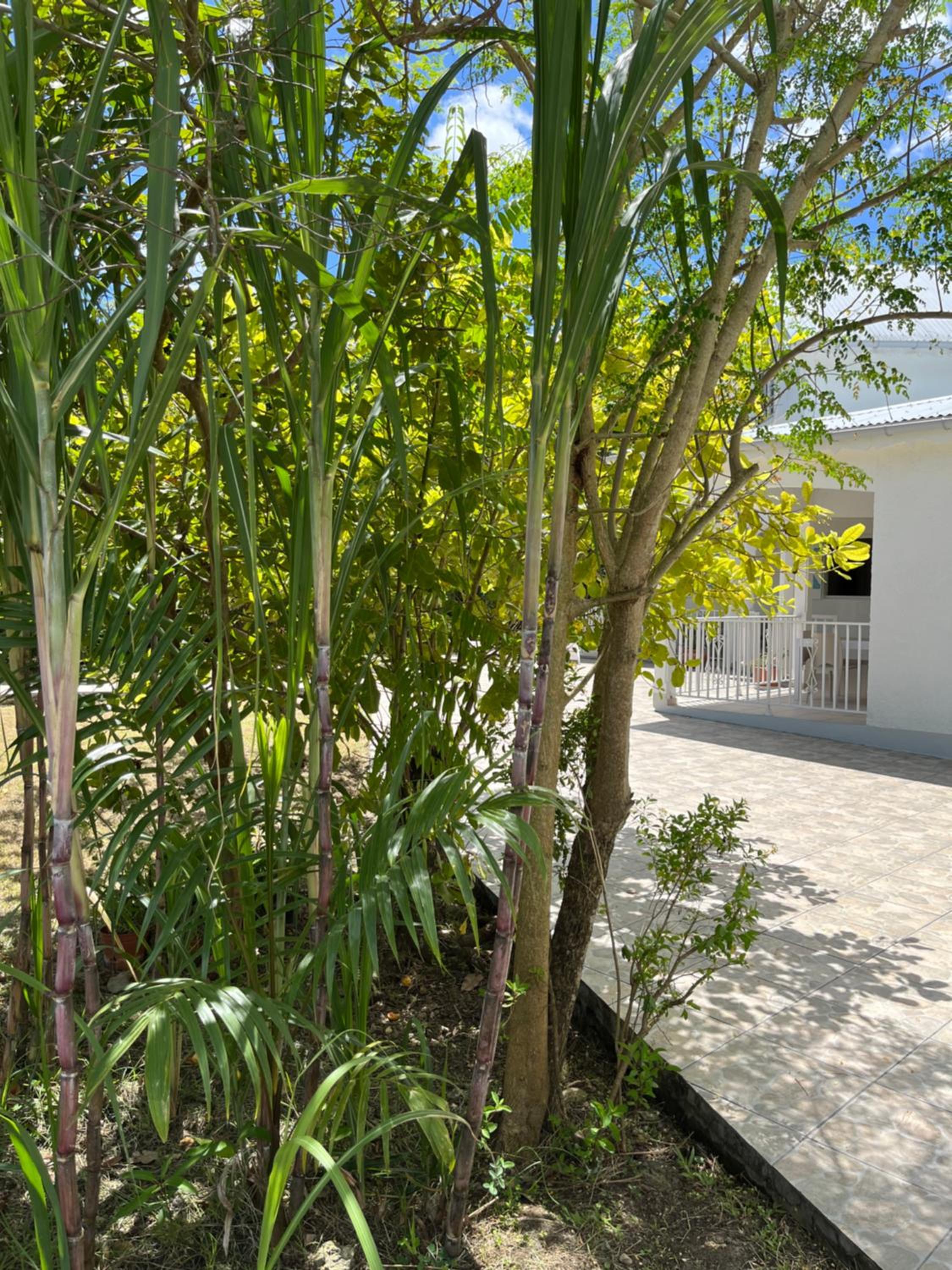 Villa campagne créole
