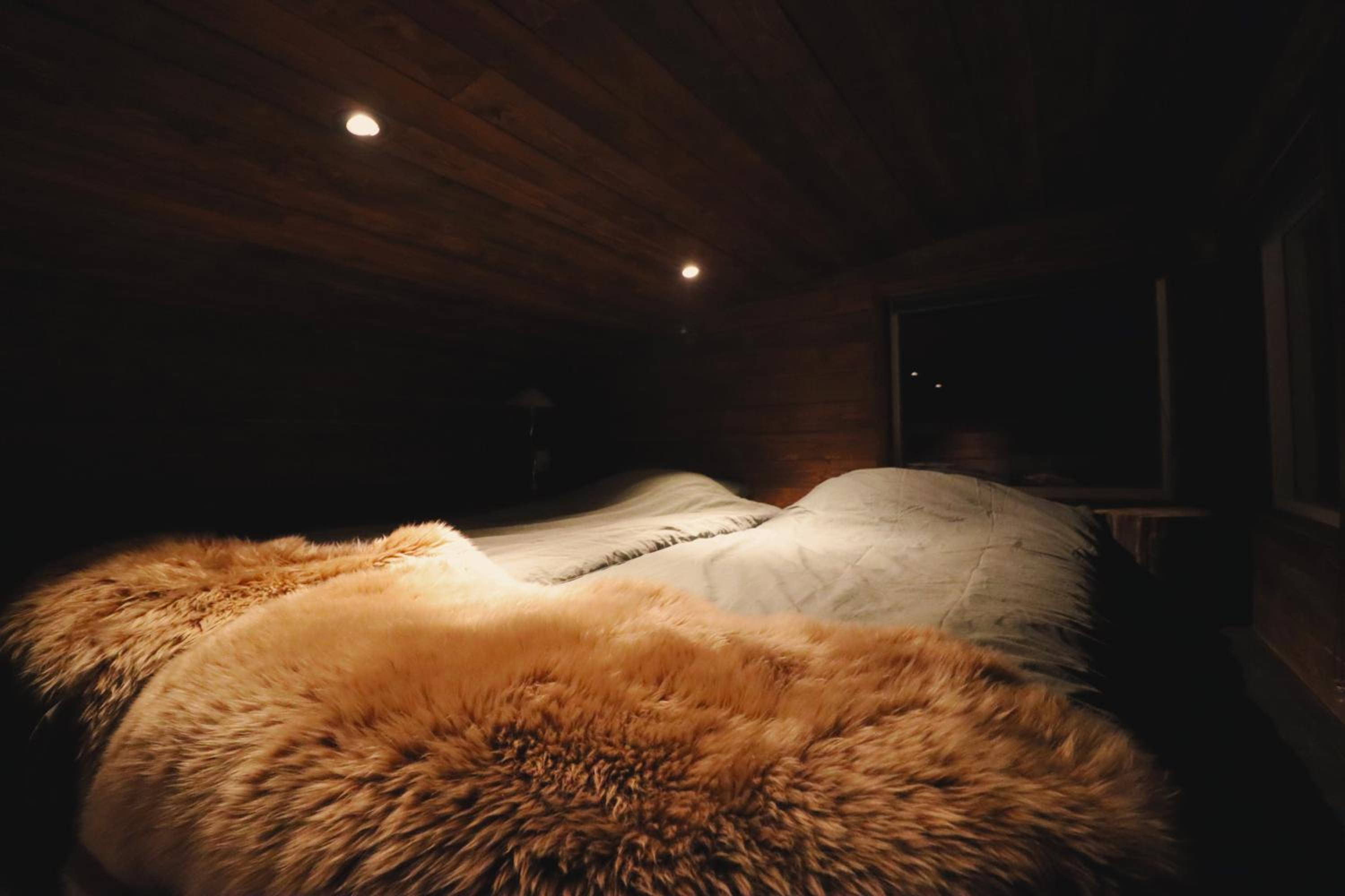 Reindeer Riverfront Aurora lodge view 4