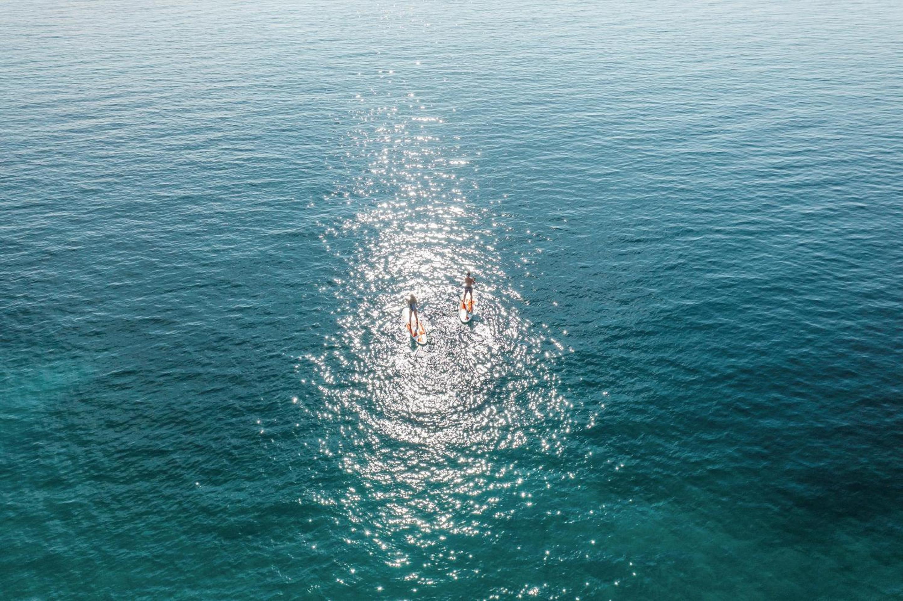Photo 261