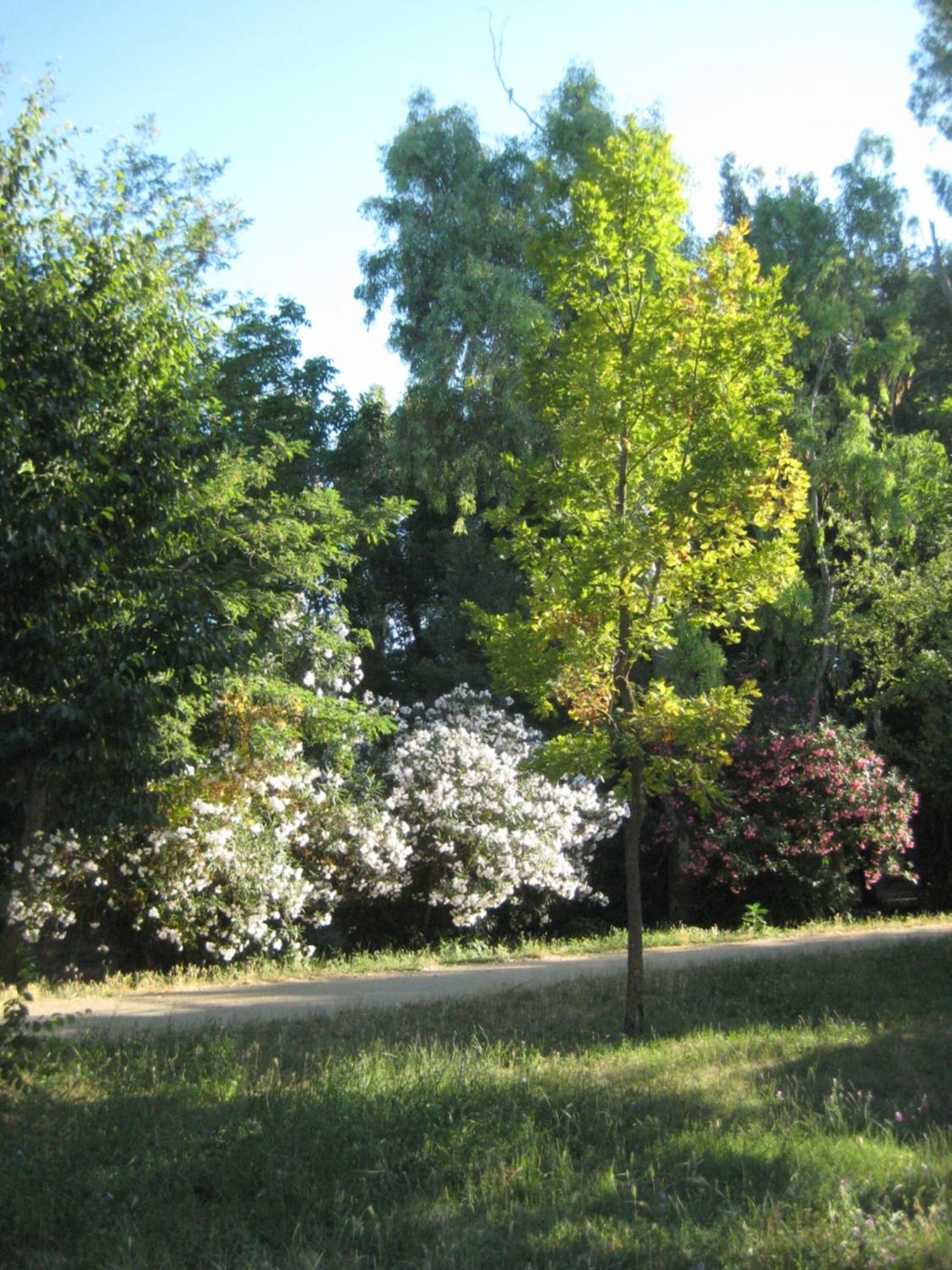 La CASA di EMY