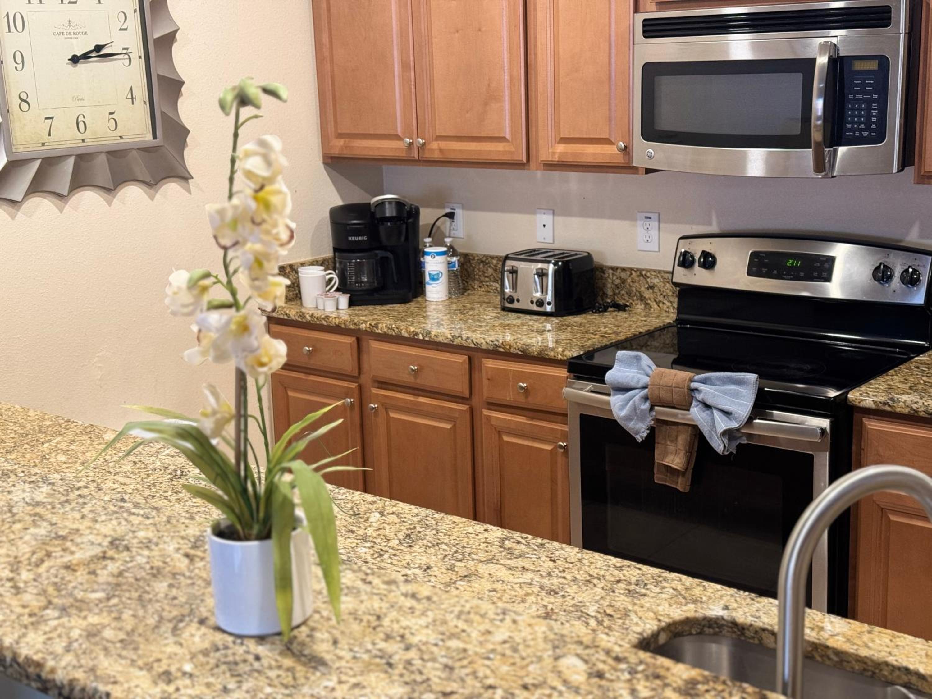 Orlando Area Vacation Rental with private pool view 5