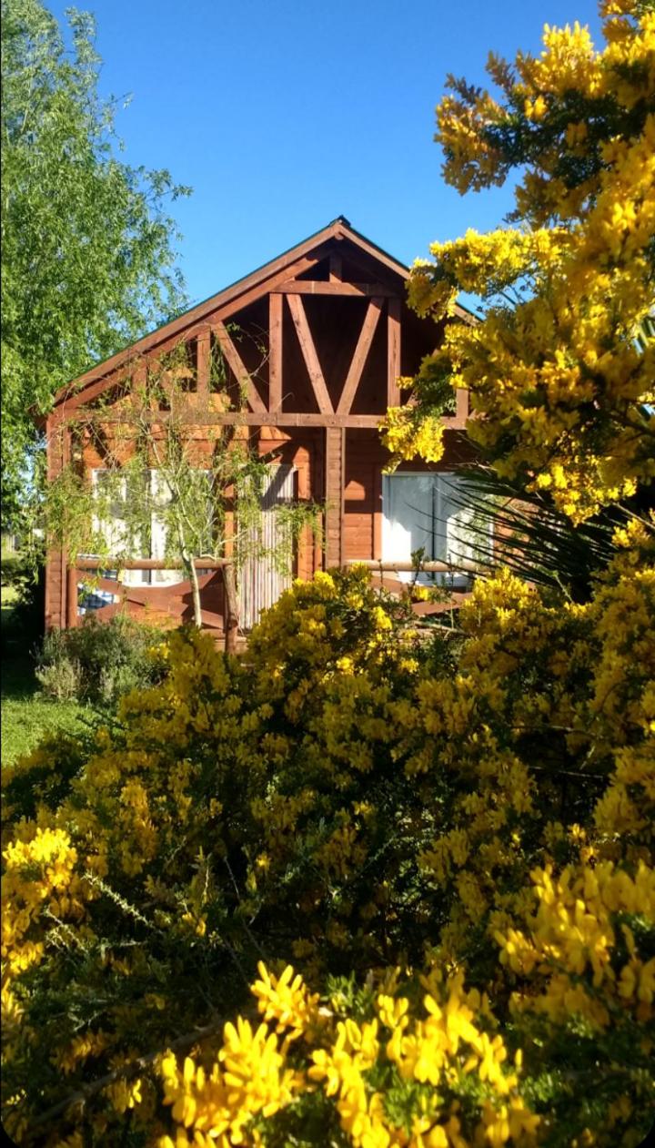 Cabañas Iremía