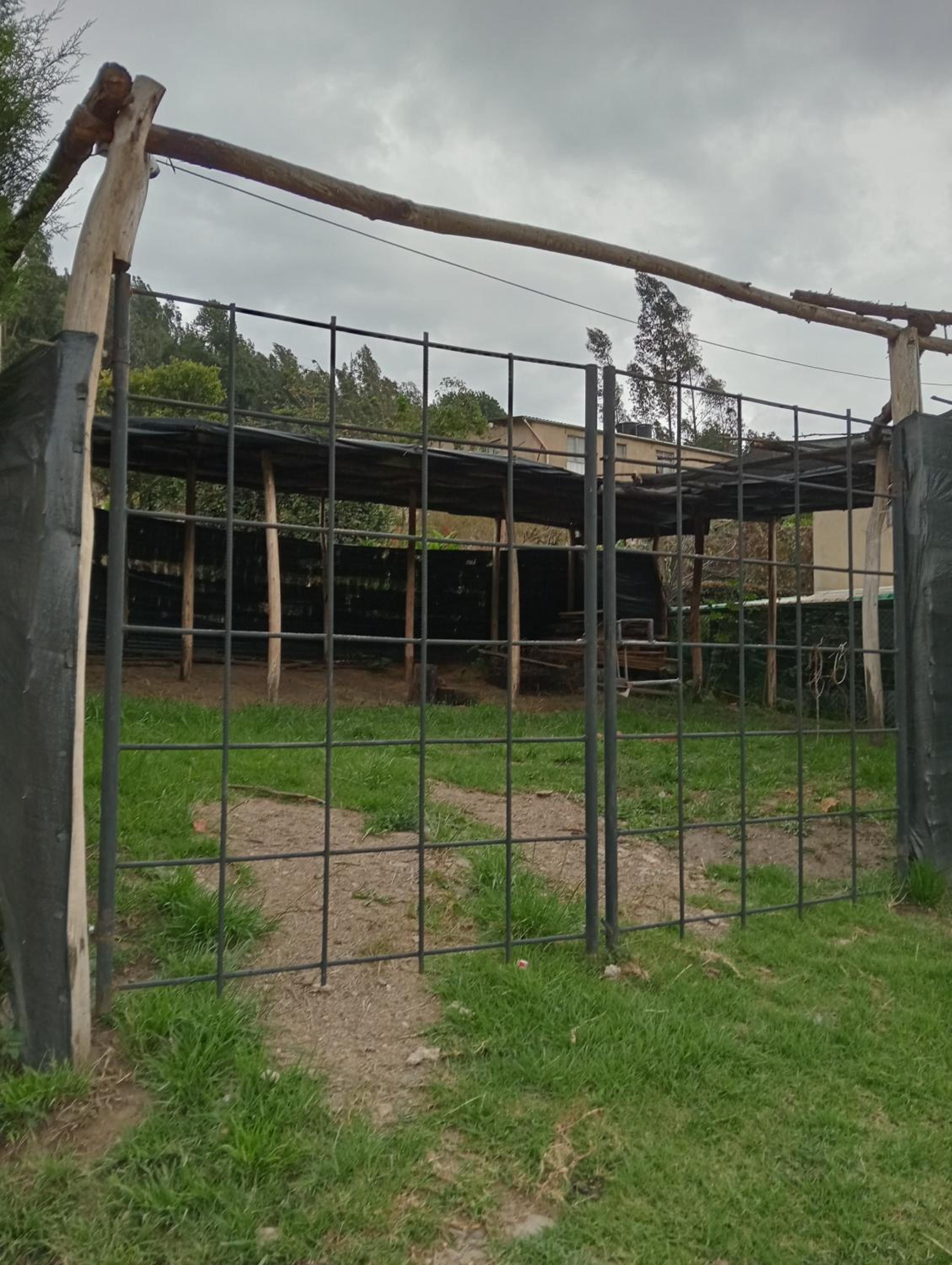 Casa Campestre Las Margaritas