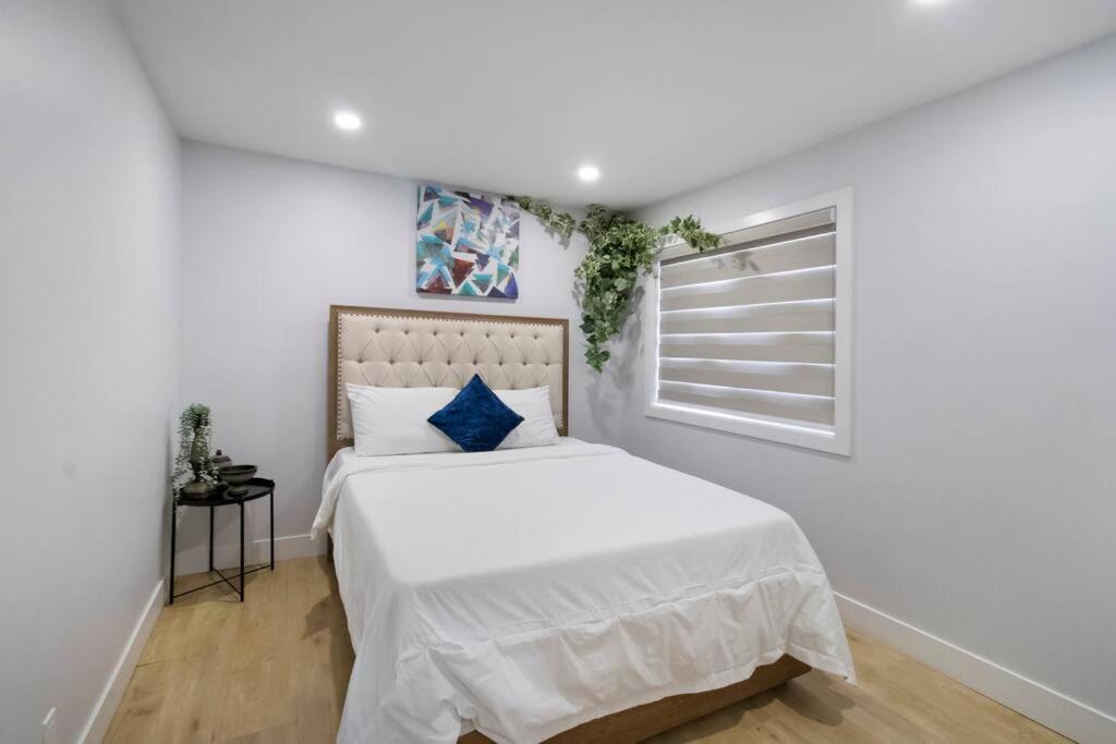 Modern Bright Whole House Major attractions nearby