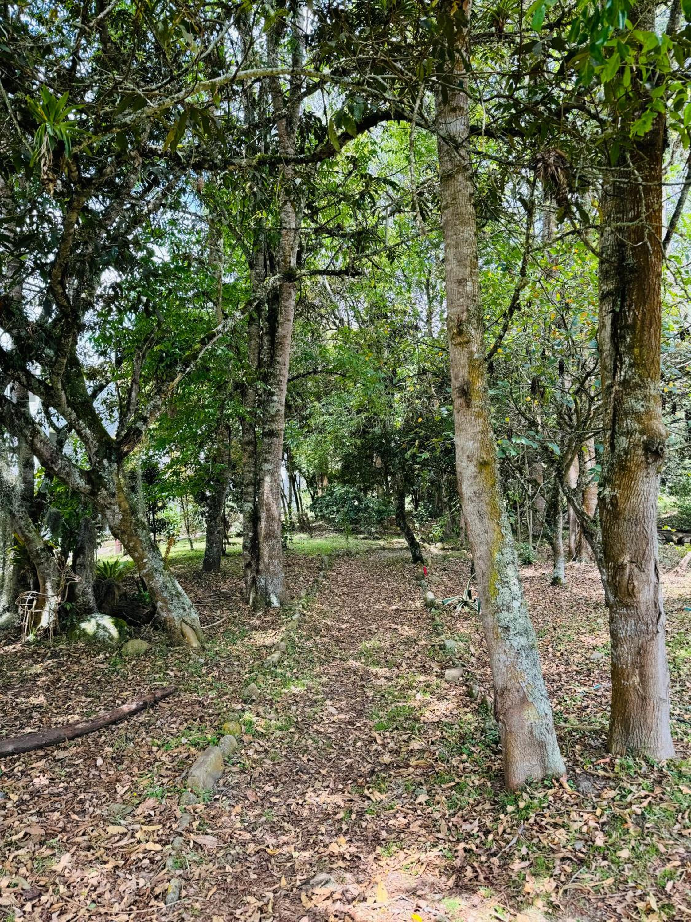Apartamento en Villa Toscana en Boyaca