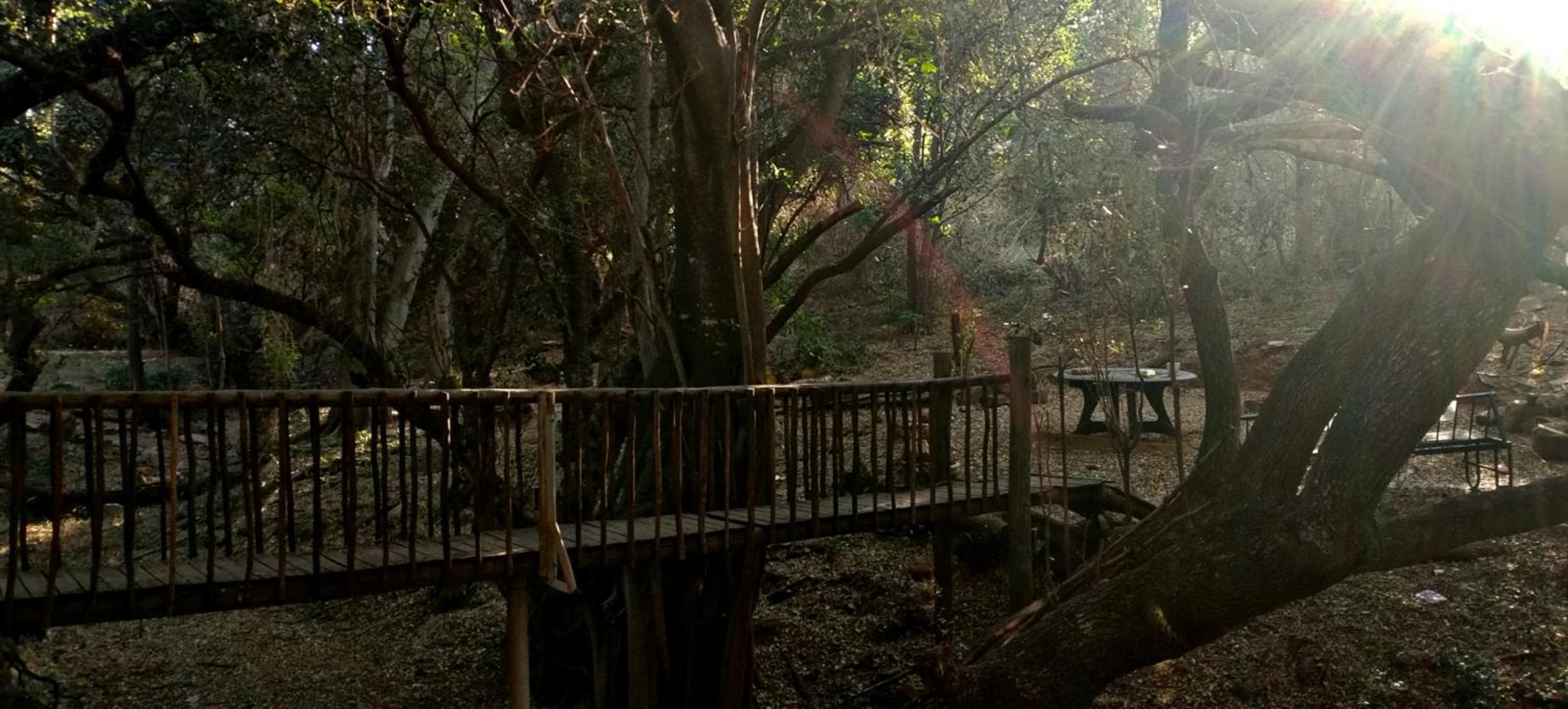 Emthunzini lodge