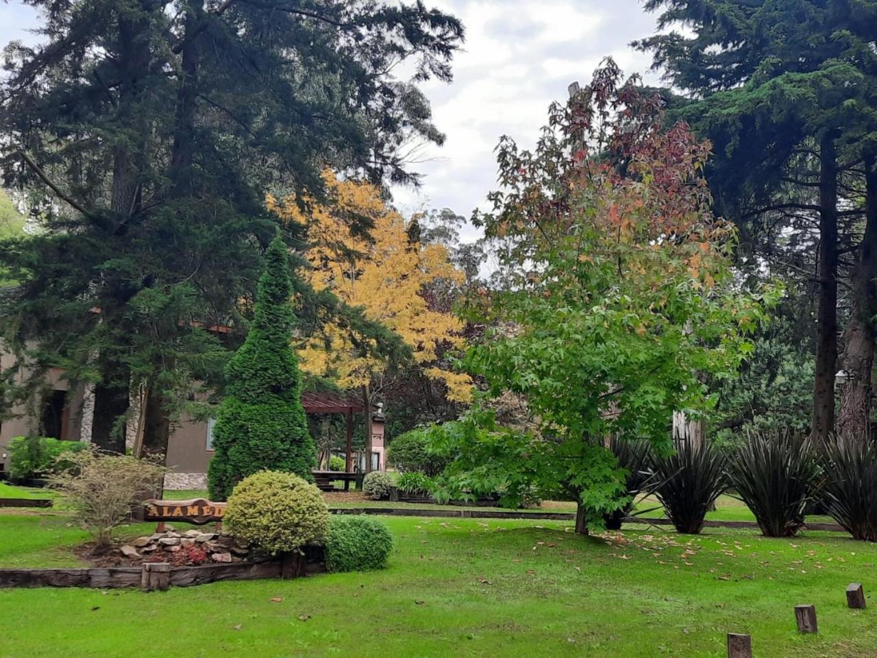 Alameda de Mar de las Pampas