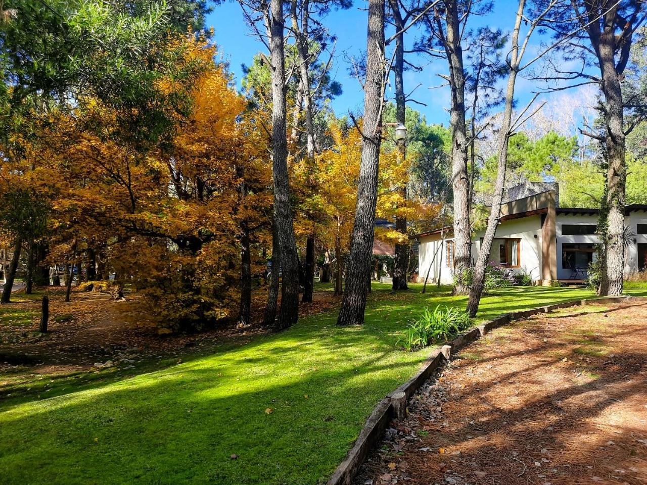 Alameda de Mar de las Pampas