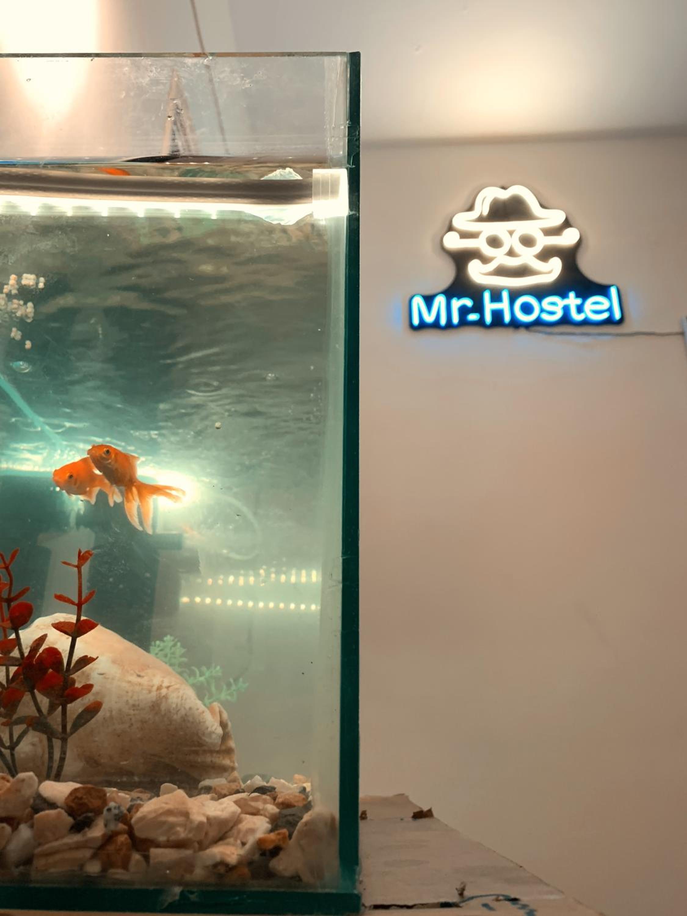 MRHostel Luxor
