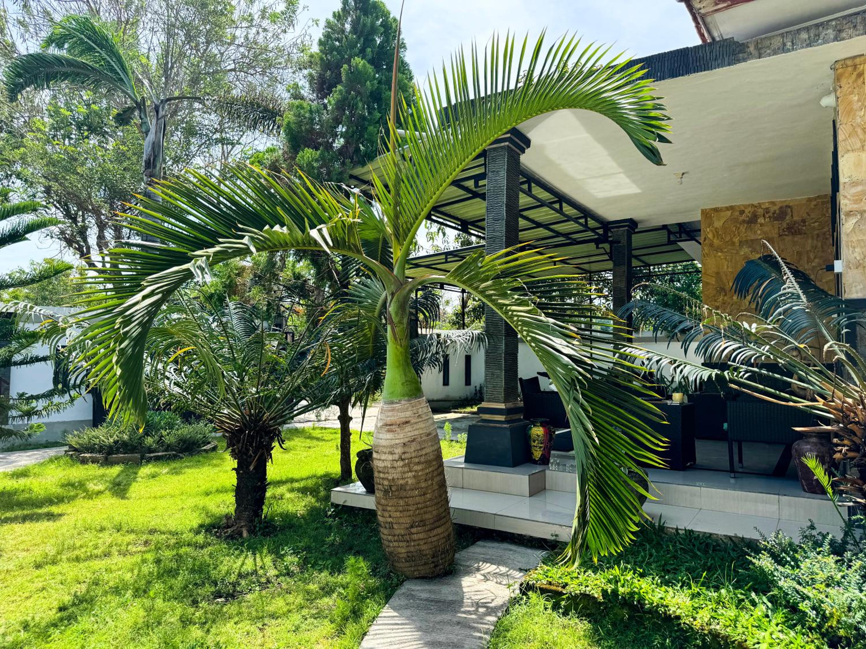 Seva Hotel