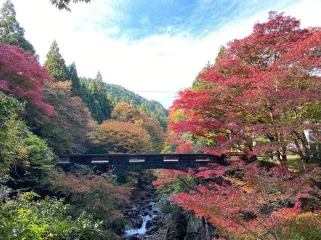 Ryoufuso