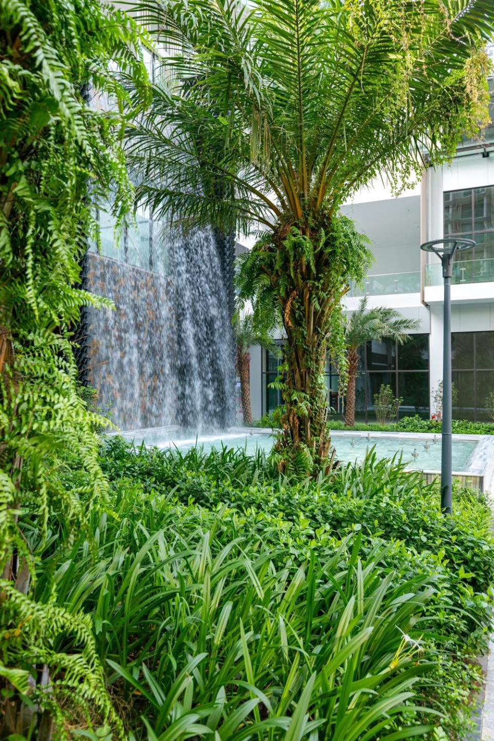 Armin Homes Studio at Solforest Ecopark view 5