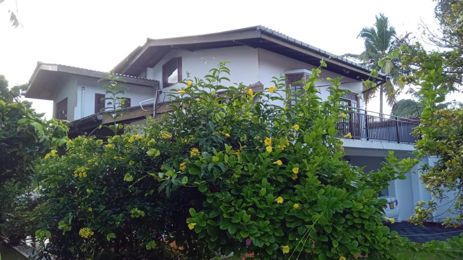 Tanya Homestay