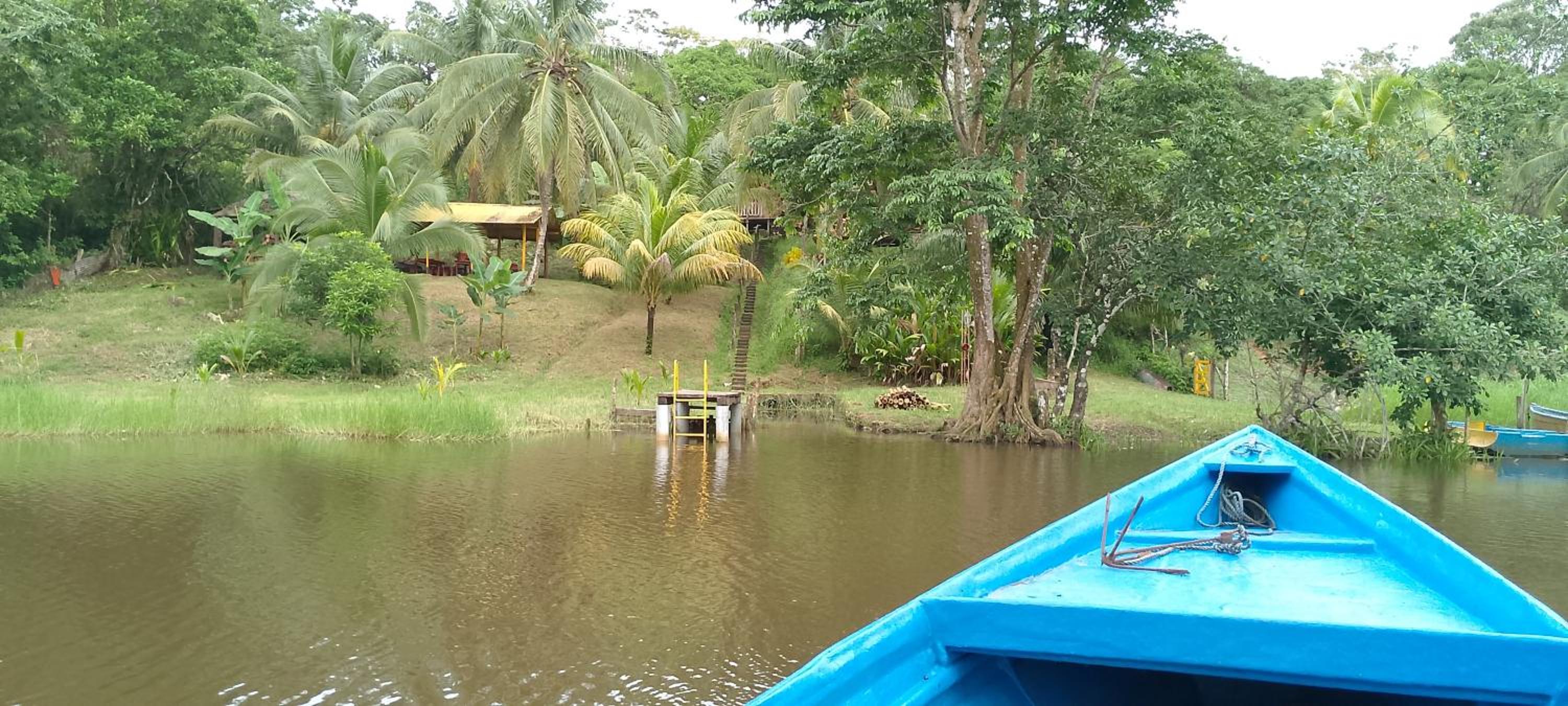 Sconfra creek view 4