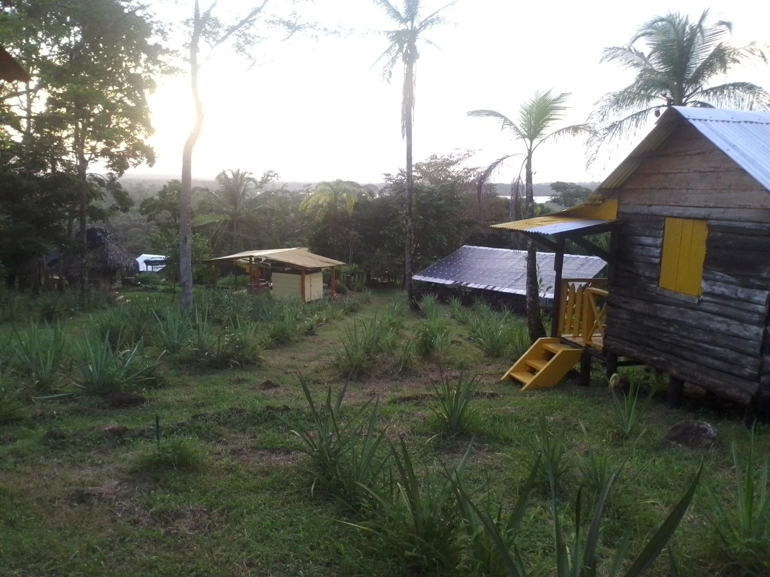 Photo 13