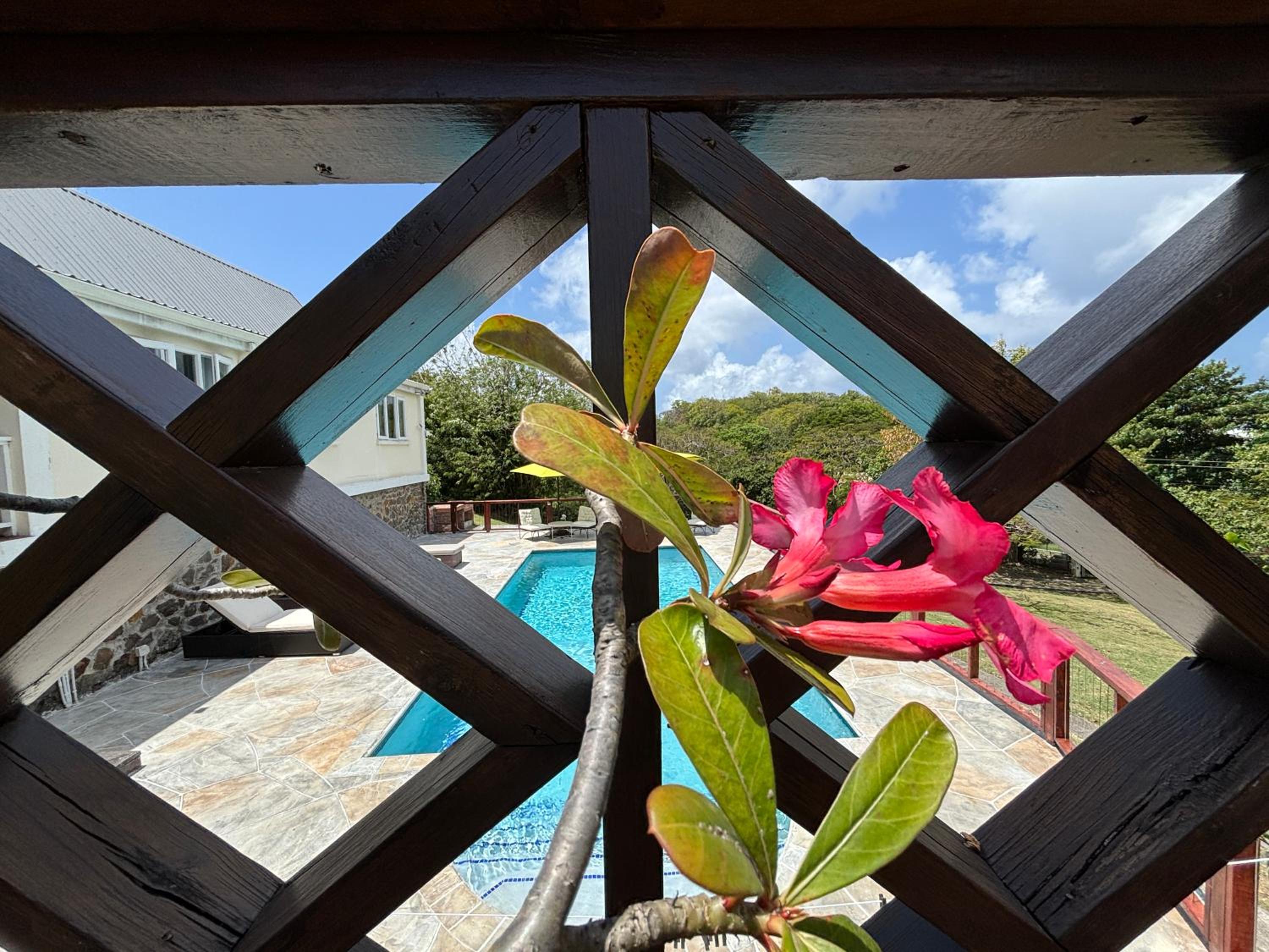 Private villa with large pool & 5min walk to beach view 2