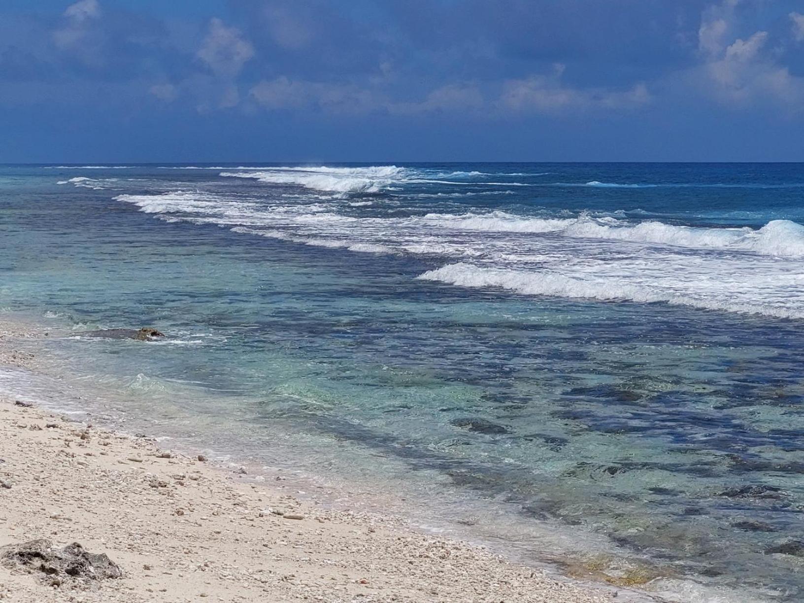 Fare Mama Fenua plage baleines Moorea Temae