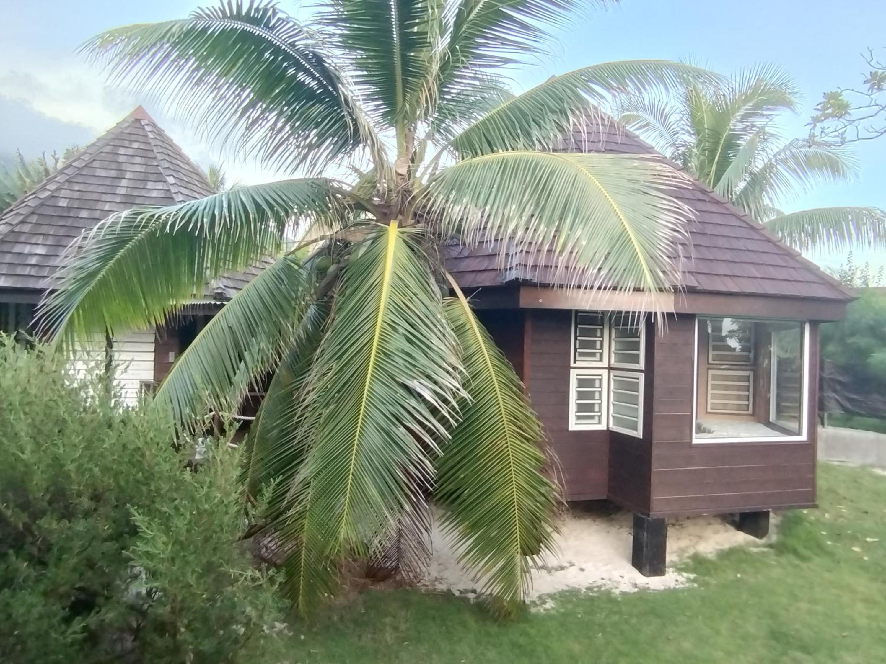 Fare Mama Fenua plage baleines Moorea Temae