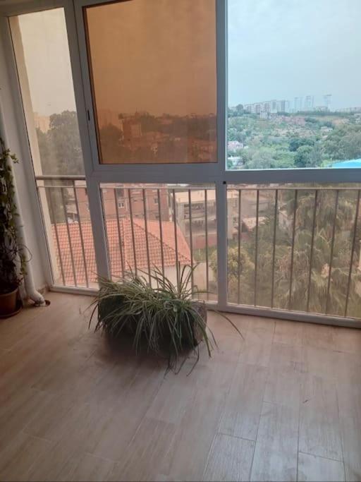 Appartement Molly
