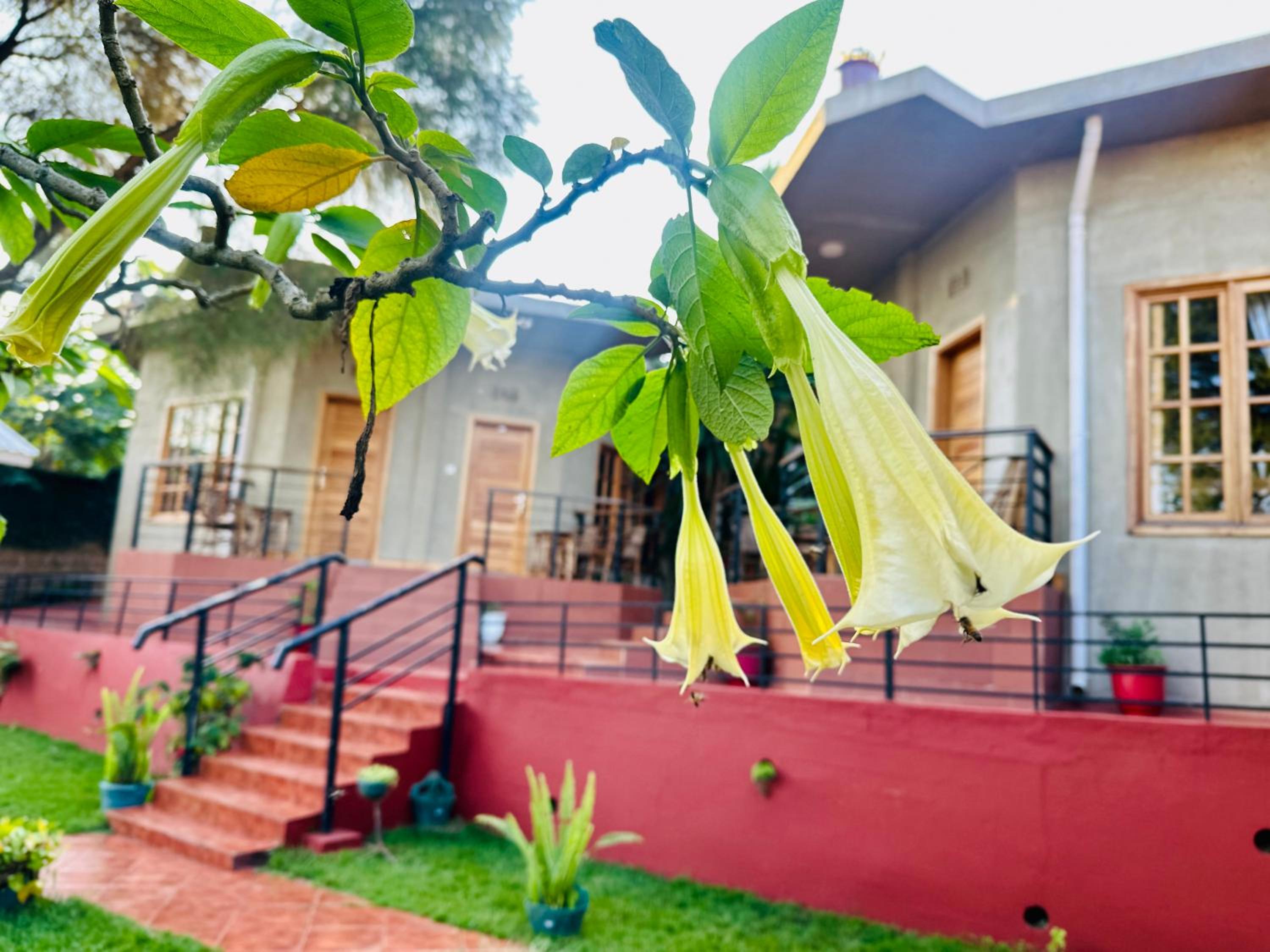 Babylon Lodge view 2