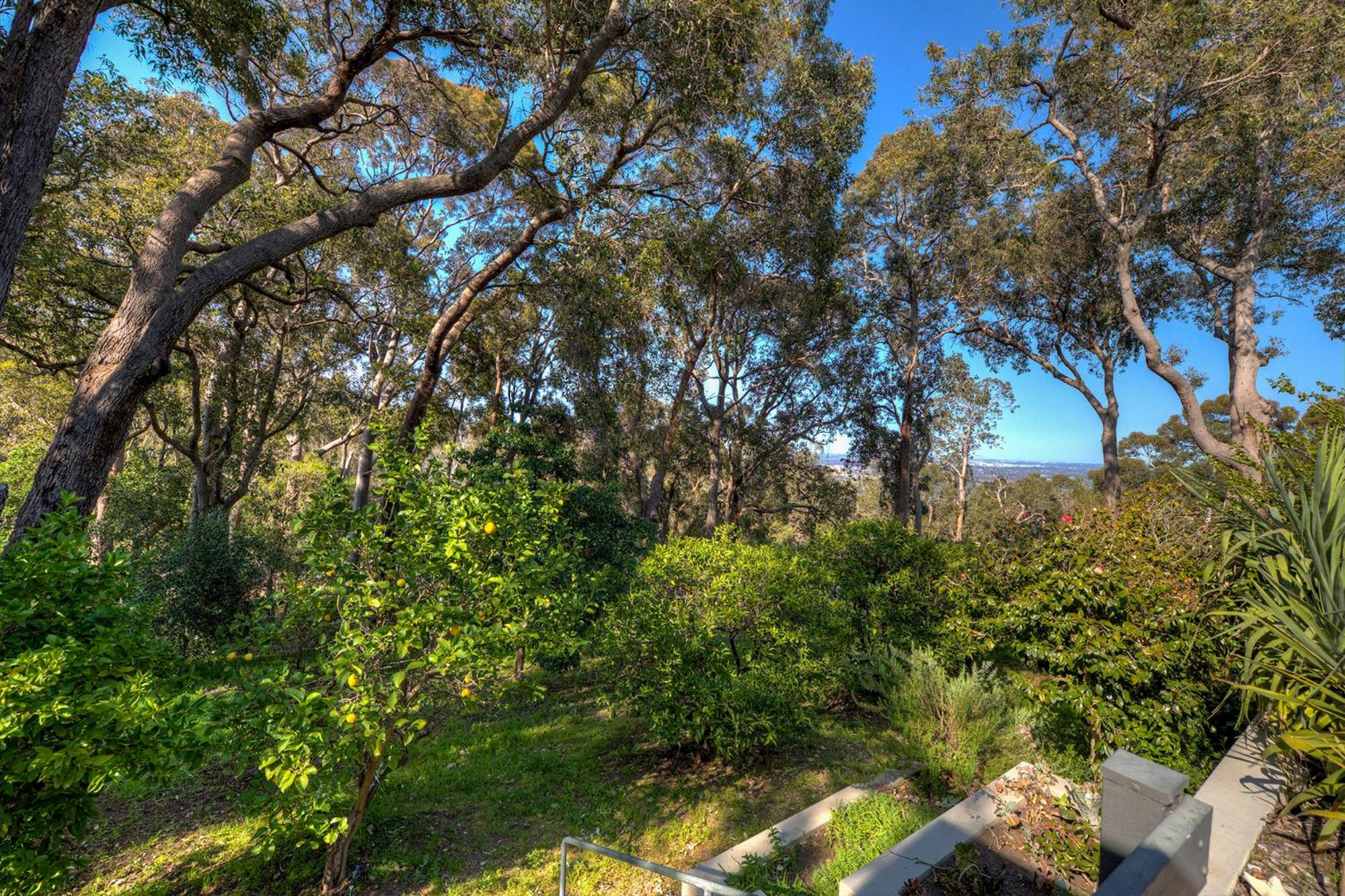 Lesmurdie Lodge